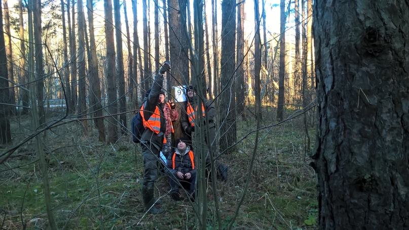 1568021291823.png 1568021291823.png