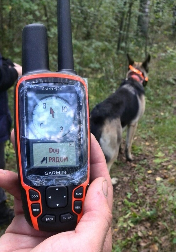 1568021625886.png 1568021625886.png